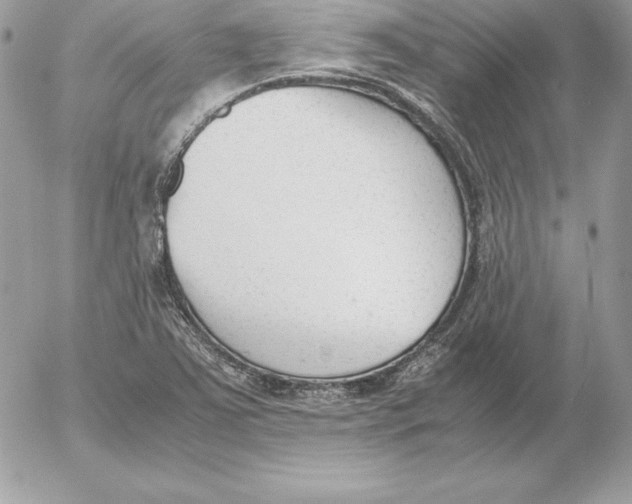 X0000052611363200507221648