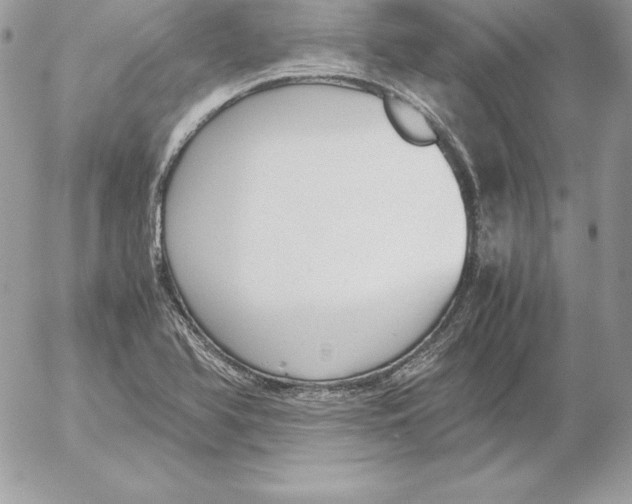 X0000052611366200507221648