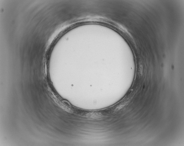 X0000052611368200507221648