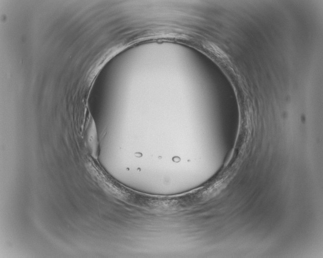 X0000052611369200507221648