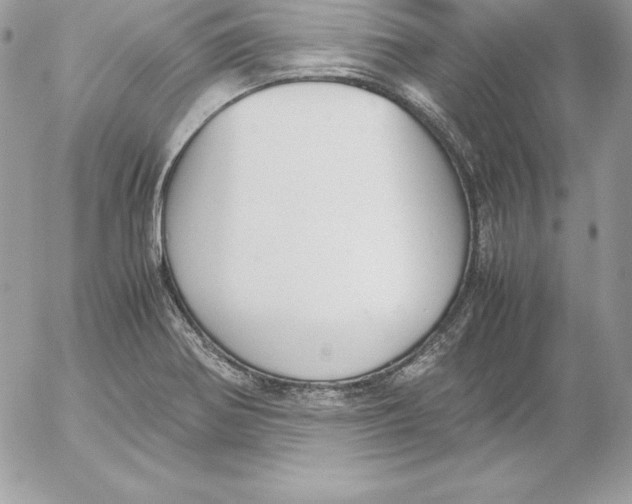 X0000052611370200507221648