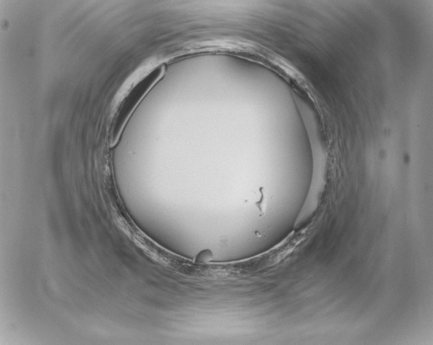 X0000052611373200507221648