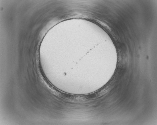 X0000052611375200507221648