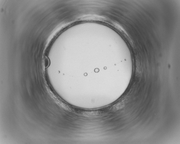 X0000052611376200507221648