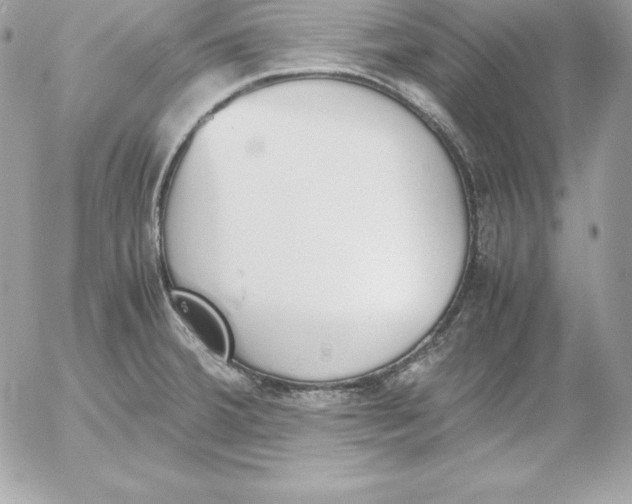 X0000052611380200507221648