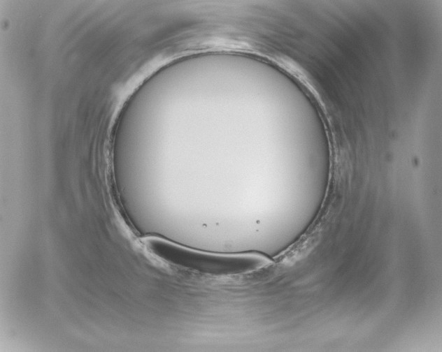 X0000052611381200507221648