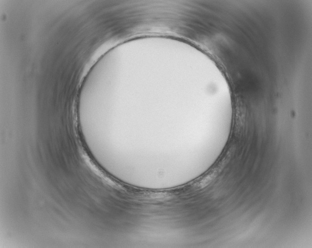 X0000052611382200507221648