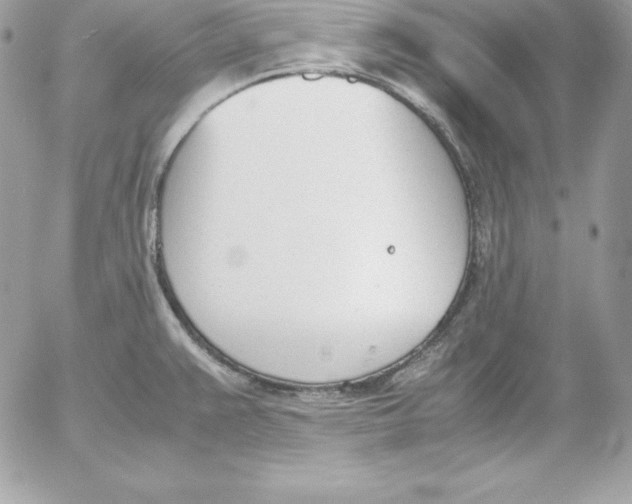 X0000052611383200507221648