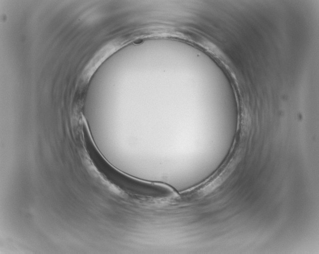 X0000052611385200507221648