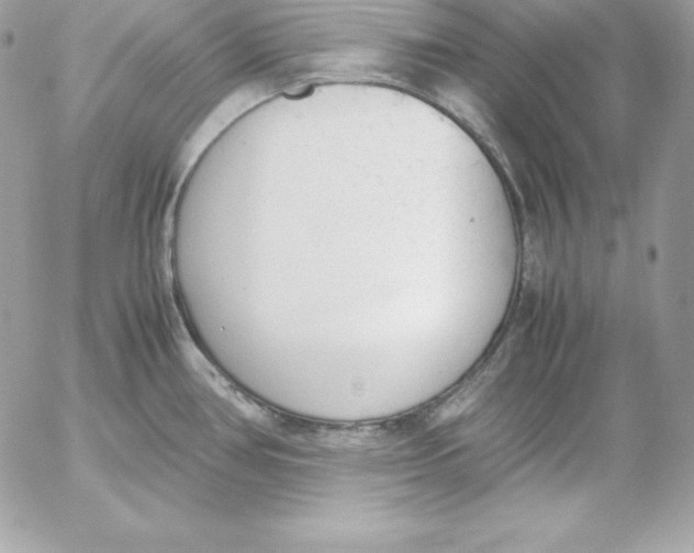 X0000052611386200507221648