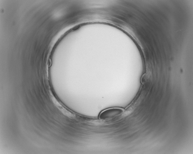 X0000052611388200507221648