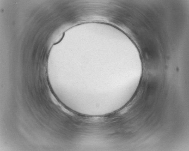 X0000052611390200507221648