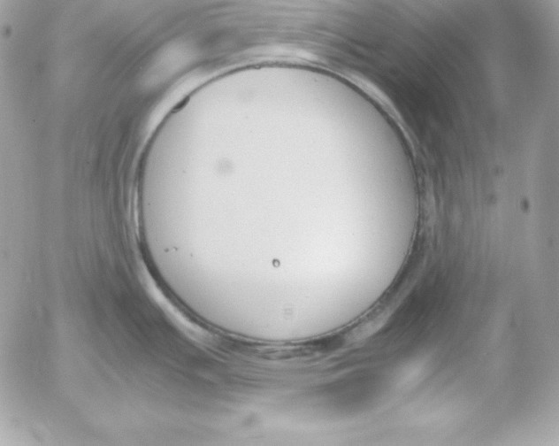 X0000052611391200507221648