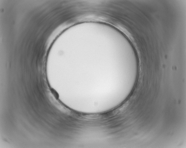 X0000052611392200507221648