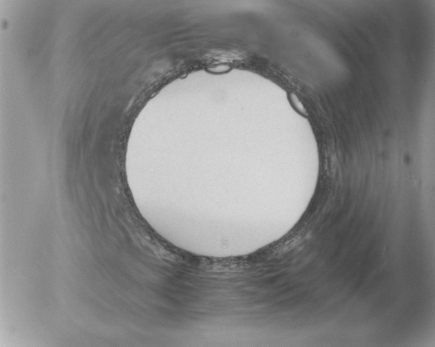 X0000052611393200507221647