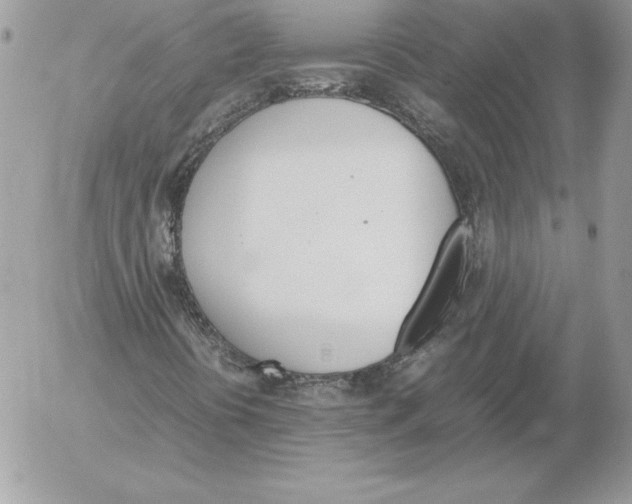 X0000052611394200507221647