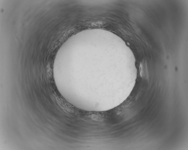 X0000052611395200507221647