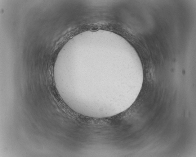 X0000052611397200507221647