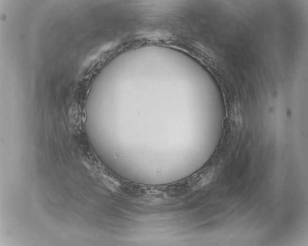 X0000052611398200507221647