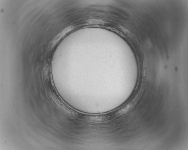 X0000052611401200507221647