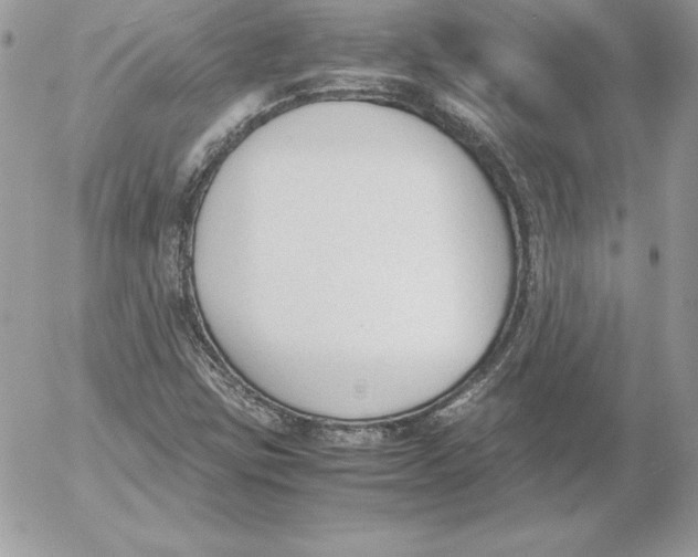 X0000052611403200507221647