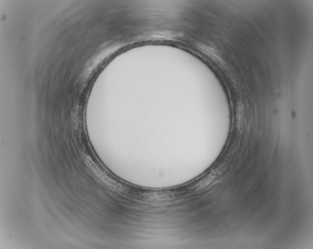 X0000052611404200507221647