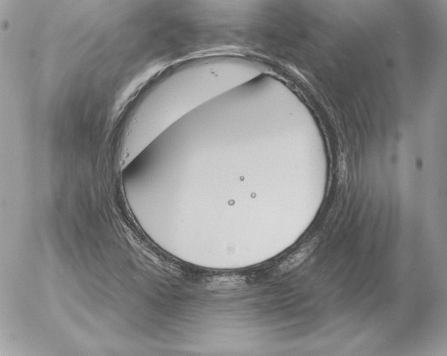 X0000052611406200507221647