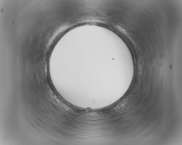 X0000052611408200507221647