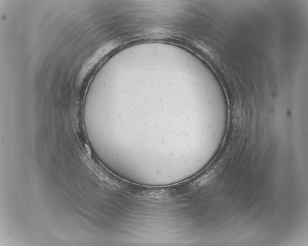 X0000052611410200507221647