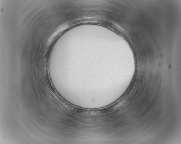 X0000052611411200507221647