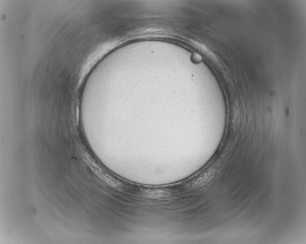 X0000052611413200507221647