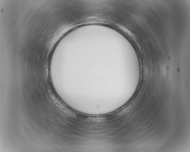 X0000052611415200507221647