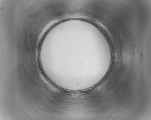 X0000052611416200507221648