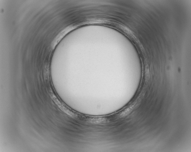 X0000052611417200507221648