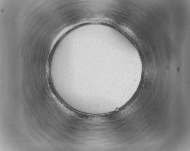 X0000052611420200507221648