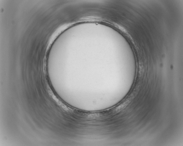 X0000052611421200507221648