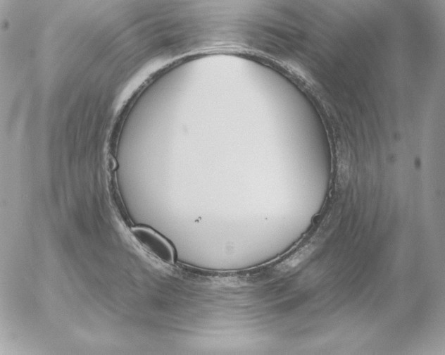 X0000052611422200507221648