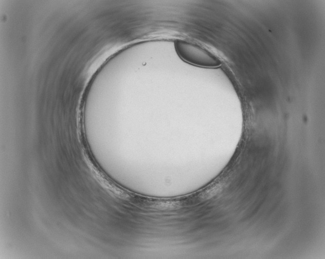 X0000052611423200507221648