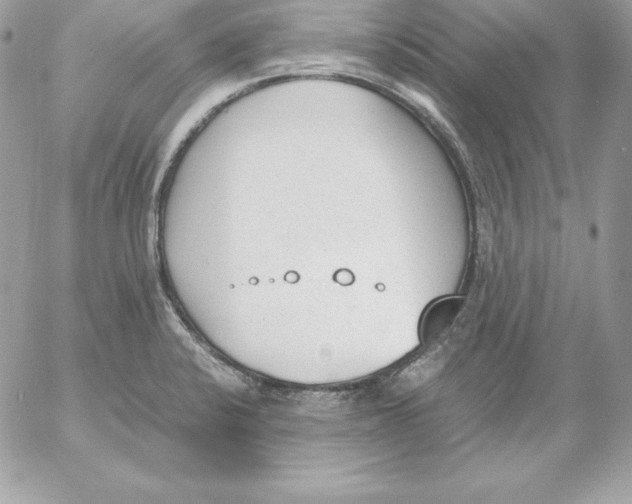 X0000052611424200507221648