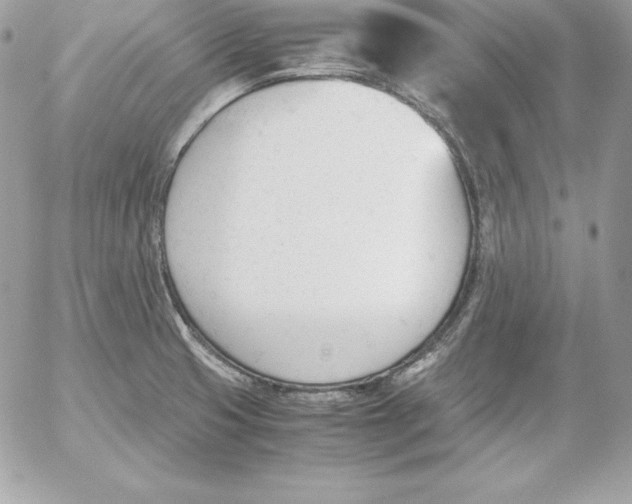 X0000052611425200507221648