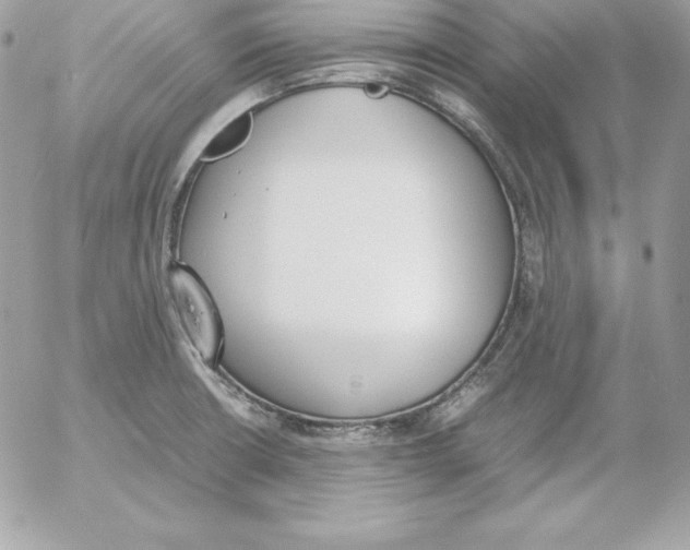 X0000052611426200507221648