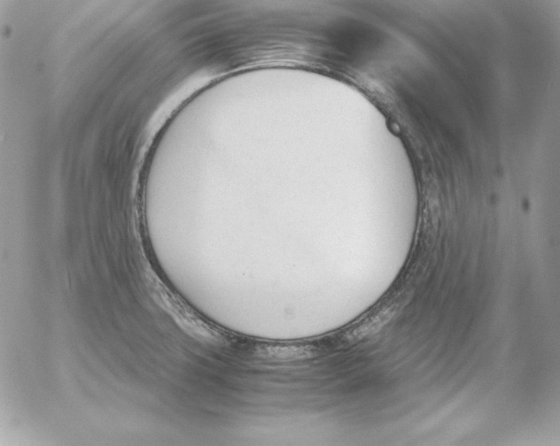 X0000052611427200507221648