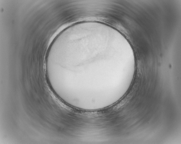 X0000052611428200507221648