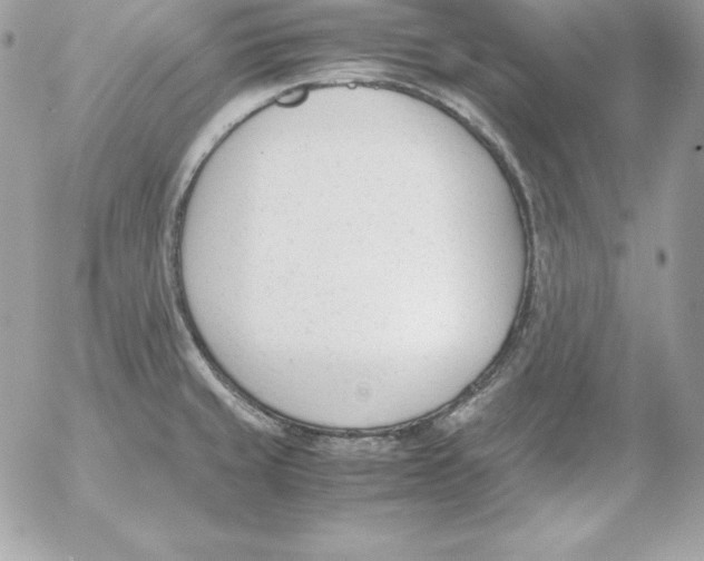 X0000052611429200507221648