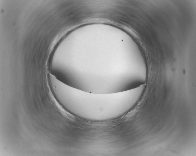 X0000052611430200507221648