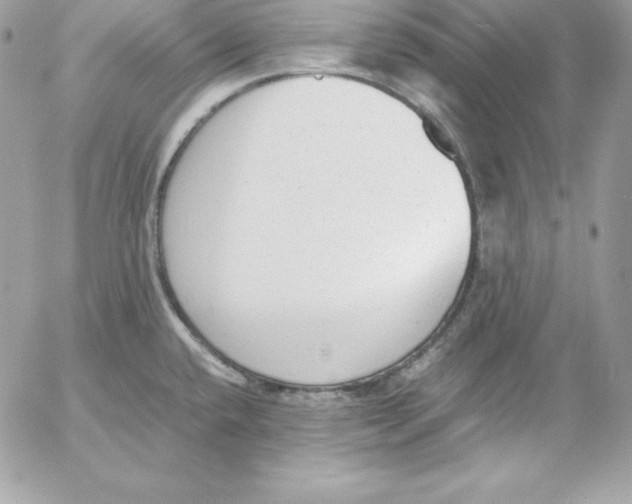 X0000052611432200507221648