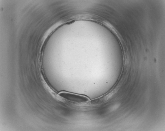 X0000052611434200507221648