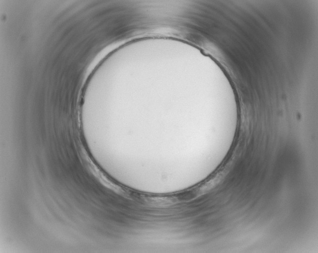 X0000052611436200507221648