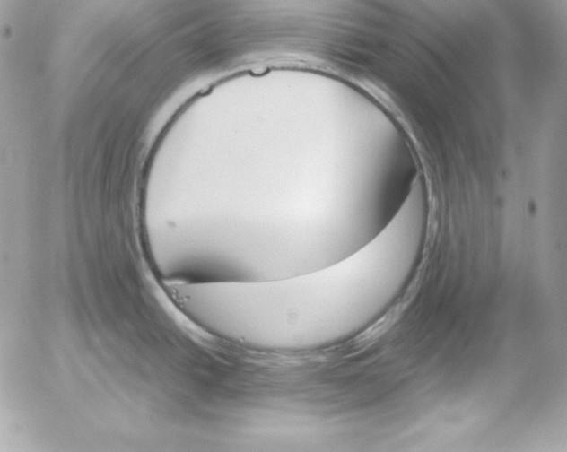 X0000052611438200507221648