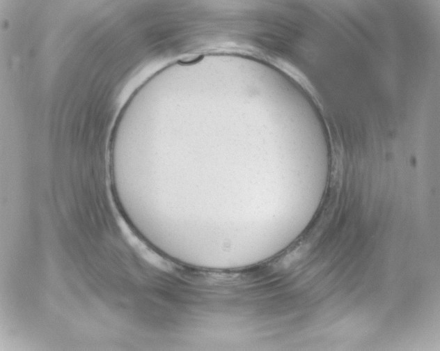 X0000052611439200507221648